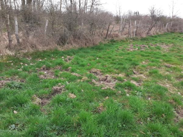 SAINT ANDEOL LE CHATEAU 69700, terrain agricole de 23 055 m2