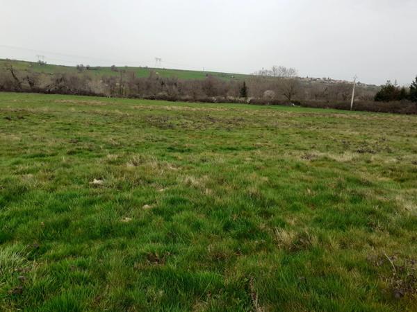 SAINT ANDEOL LE CHATEAU 69700, terrain agricole de 23 055 m2