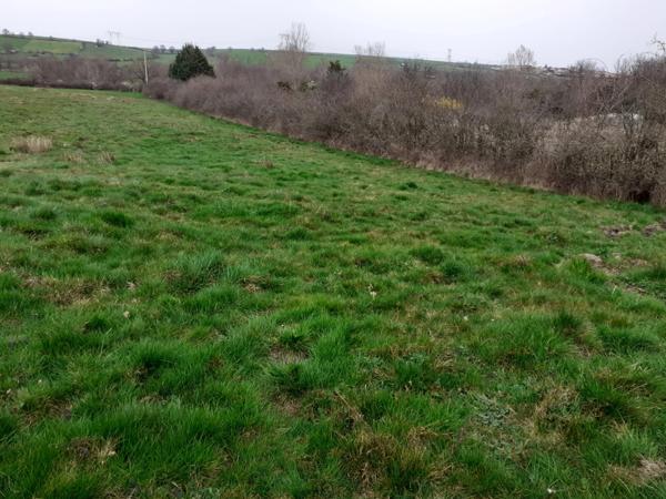 SAINT ANDEOL LE CHATEAU 69700, terrain agricole de 23 055 m2