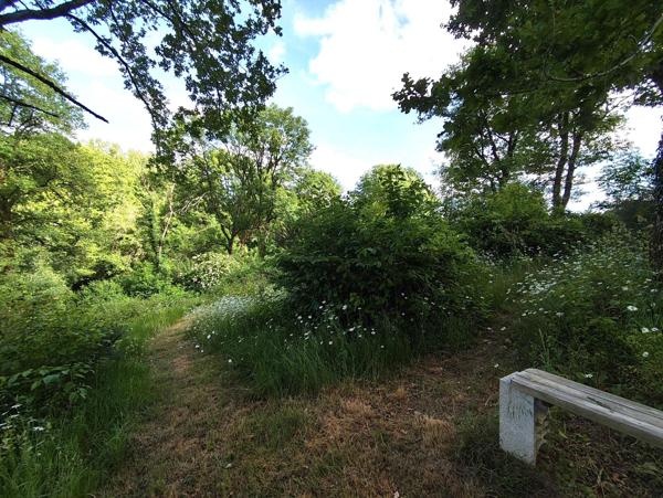 MAISON DE CAMPAGNE - ENVIRONNEMENT CALME ET PISCINE -