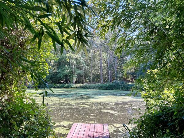 Maison  en vente - Loir-et-Cher - 41