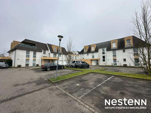 Appartement 2 pièces avec balcon - Investissement locatif - Kaltenhouse