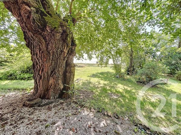 Maison à vendre  12 pièces - 390 m2 LAVAUR - 81