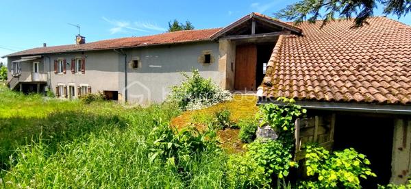 Opportunité rare à Siran – Corps de ferme type longère à fort potentiel !
​Amoureux de la pierre, investisseurs ou porteurs de projets, laissez-vous séduire par cet ensemble à rénover.
​Niché sur un superbe terrain plat de 3 920 m² sans vis-à-vis, ce corps de ferme traditionnel en longère vous propose de superbes volumes adaptables à toutes vos envies (projet familial, gîtes, activité professionnelle ou artisanale).
​🏡 Le potentiel immobilier en détail :
​Une maison d'habitation (121 m²) : Déployée sur deux niveaux, elle offre un bel espace de vie et comprend 3 chambres pour accueillir toute la famille.
​Un appartement indépendant (45 m²) : Attenant à la maison, cet espace est idéal pour générer un revenu locatif, créer un gîte ou recevoir vos proches en toute autonomie. Il est édifié sur un sous-sol total de surface équivalente, parfait pour le stockage ou un atelier.
​Une grange attenante (127 m² sur deux niveaux) : Une structure magistrale avec une superbe hauteur sous plafond, idéale pour une extension de l'habitation principale ou annexe.
​Deux dépendances (25 m² chacune) : Parfaites pour des boxes, un atelier de création ou du rangement extérieur.
​🛠️ Les + qui font la différence :
​Menuiseries déjà en PVC double vitrage : un gain précieux sur votre budget rénovation énergétique.
​Un terrain d'un seul tenant de près de 4 000 m², au calme absolu, idéal pour les amoureux de nature, un projet de maraîchage ou des animaux.
​Laissez libre cours à votre imagination pour redonner vie à ce domaine rare dans le secteur !
​Contactez-moi dès aujourd'hui pour organiser une visite et étudier la faisabilité de votre projet !
Votre conseiller BSK Immobilier, Frédéric LANGLOIS.