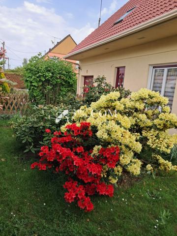 Maison 6 pièce(s) 4 chambre(s) 122 m²