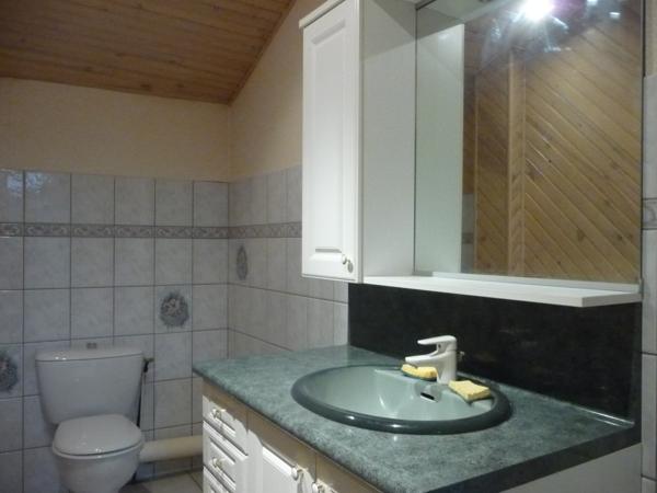 SAINT ROMAIN LE PUY UNE EXCLUSIVITE LE TUC MONTBRISON INCROYABLE MAISON Saint-Romain-le-Puy (42610)