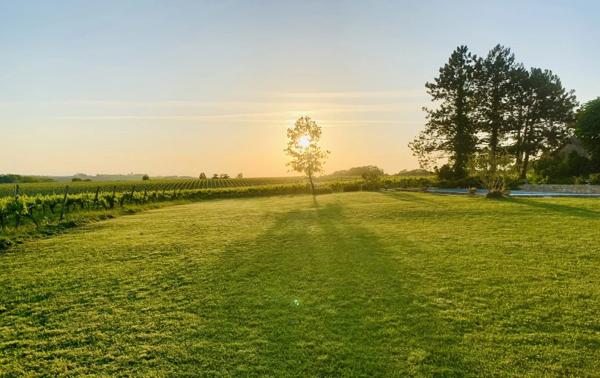 Vignoble avec 2 maisons en pierre. Potentiel de créer un manoir.