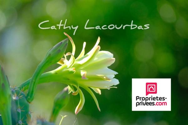 Domaine touristique 30 couchages-Deshaies- Guadeloupe