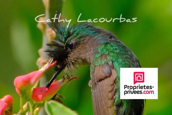 Domaine touristique 30 couchages-Deshaies- Guadeloupe
