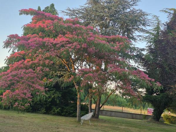 Maison à vendre 7 pièces proche de TOURNUS (71)