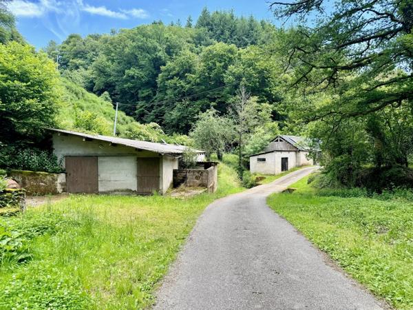 Rieupeyroux – Maison en Pierre et Moulin Converti dans la Campagne de l’Aveyron