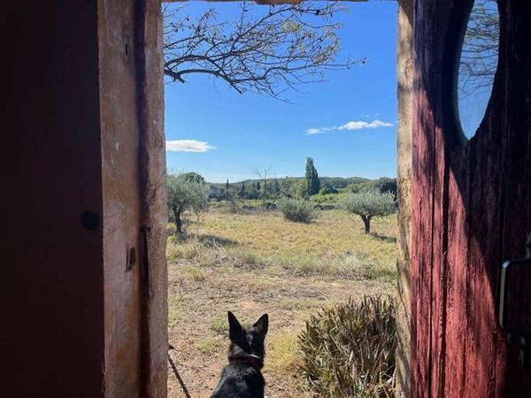 Maison à vendre |  Caux |  3 pièces | 38 m²