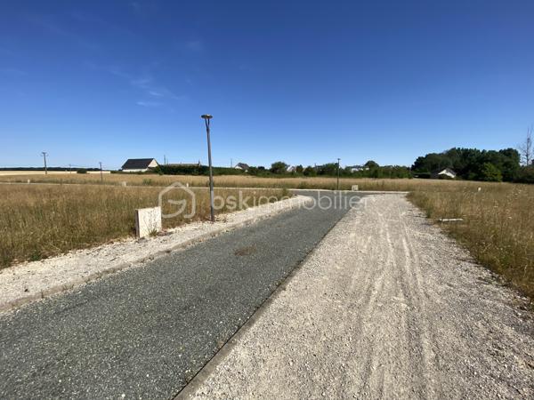 DEVENEZ PROPRIÉTAIRE à La Vieuville, commune d'Alluyes.

Offrez-vous un cadre de vie agréable dans un environnement calme, verdoyant et résidentiel.
Idéalement située entre Chartres et Châteaudun et à proximité de Bonneval, la commune d'Alluyes séduit par sa qualité de vie.

Proche des différents axes routiers (N10 et à l'A11), venez découvrir un lotissement libre de constructeur de 23 terrains à bâtir entièrement viabilisés (eau, électricité, fibre optique), parfaitement adaptés à la réalisation de votre future maison individuelle.

En direction de Bonneval, vous trouverez toutes les commodités du quotidien (commerces, marché, supermarchés, piscine, écoles, collège, crèches, maison médicale…).
Sachez que la gare se trouve à 8 min en voiture et dessert Paris, Châteaudun et Tours. 

Les atouts du programme :
    •    23 Parcelles de 542 à 884 m²,
    •    17 366m2 de surface constructible,
    •    Terrains entièrement viabilisés et bornés,
    •    Permis d'amener purger de tout recours,
    •   Etude de faisabilité de l'assainissement autonome d'un futur lotissement réalisé,
    •    Voirie effectué,
    •    Lampadaires posé,
    •    Environnement paisible et résidentiel,
    •    Accès rapide à l'A11 et N10,
    •    À proximité de Chartres, Châteaudun et Bonneval, 
    •   Gare à 8 min,
    •   Commodités à proximité.

Construisez votre projet de vie dans un cadre naturel, alliant tranquillité et proximité des principaux axes de routiers.