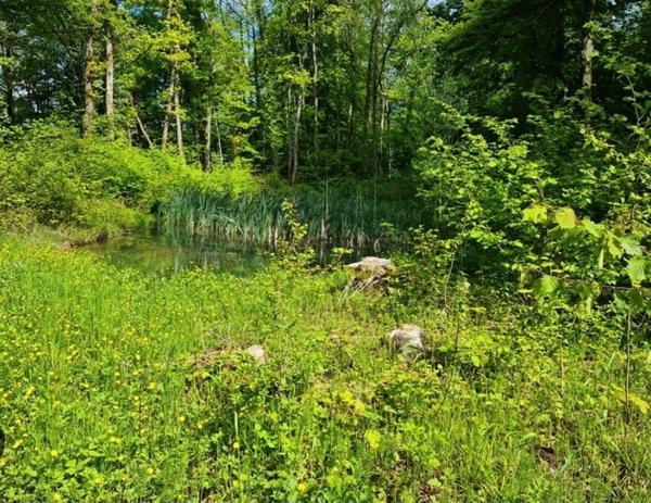 Terrain de loisirs à vendre proche de VITTEL (88)