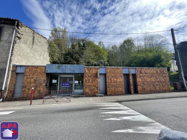 Location Locaux d'activité Lavelanet
