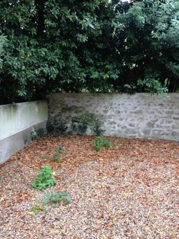 Appartement à louer 2 pièces 33.51m² Orléans (45000)