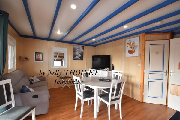 Besse-et-Saint-Anastaise (63610) Dépt.63, PROCHE DE BESSE ET SAINT ANASTAISE, Chalet de loisirs, 2-3 chambres, véranda, terrasses, garage et t