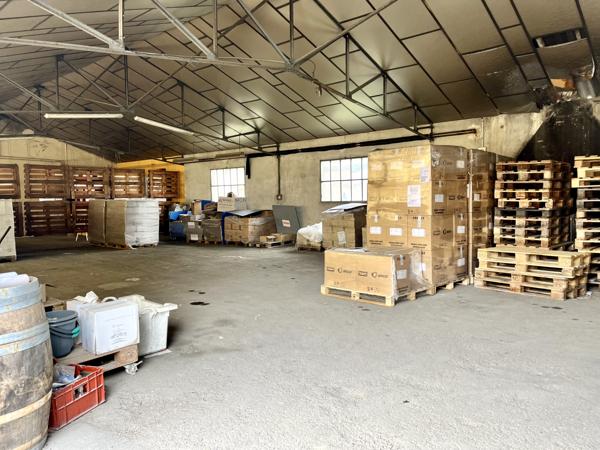 Local Commercial - 608 m²