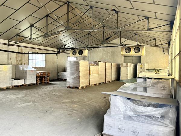 Local Commercial - 608 m²