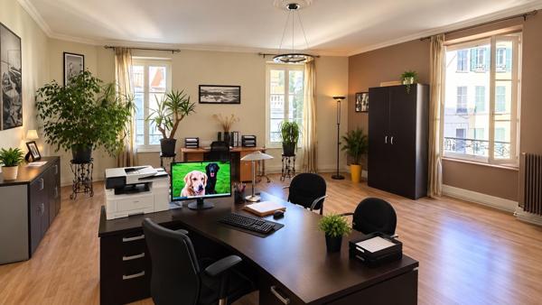 Bel appartement, Cusset