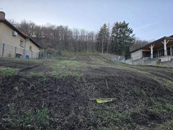 Vente Terrain 3005 m2 à Brassac-les-Mines