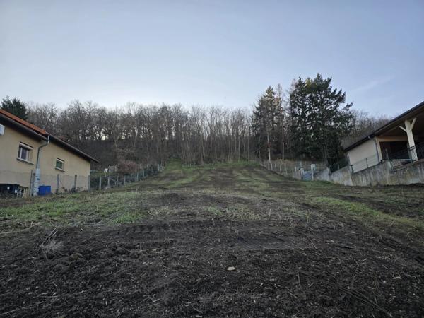 Vente Terrain 3005 m2 à Brassac-les-Mines