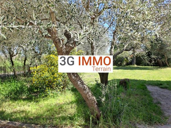 Vente / Terrain constructible à Saint-Maximin (30700)