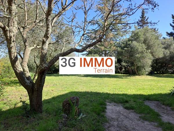 Vente / Terrain constructible à Saint-Maximin (30700)