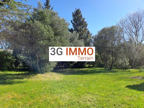 Vente / Terrain constructible à Saint-Maximin (30700)