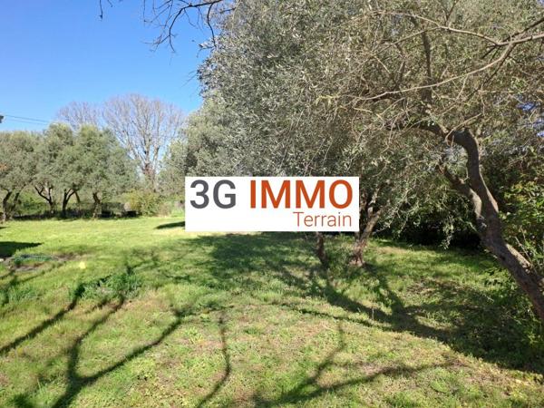 Vente / Terrain constructible à Saint-Maximin (30700)