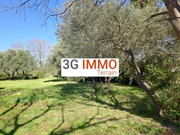 Vente / Terrain constructible à Saint-Maximin (30700)