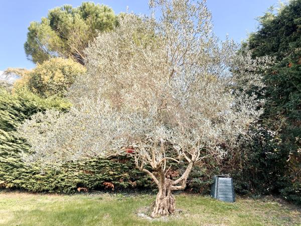 Tournon-sur-Rhône (07300) Villa 180 m² avec piscine et terrain - DPE A - Tournon-sur-Rhône centre-sud