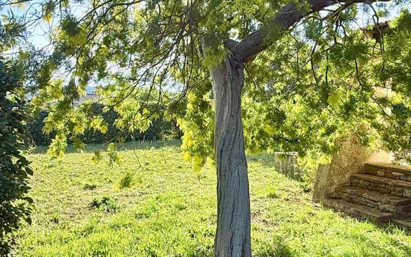 Maison à vendre    4 pièces •  Saint-Cyr-sur-Mer