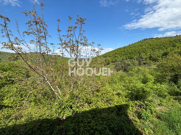 Maison avec dépendance à Boffres sur 31 hectares de terrain