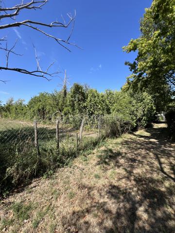 AU VAL-DE-MERCY CE JOLI TERRAIN DE LOISIR : À défricher en totalité retrouvez au centre du village ce joli terrain de 721m2 accessible à pied depuis un parking gratuit. Idéal pour jardinage, stockage, ou y mettre des animaux, moutons, oies… 

À très vite pour une visite !