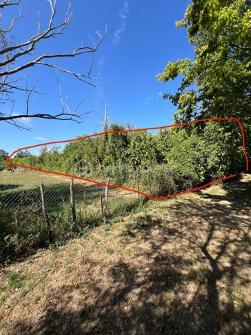 AU VAL-DE-MERCY CE JOLI TERRAIN DE LOISIR : À défricher en totalité retrouvez au centre du village ce joli terrain de 721m2 accessible à pied depuis un parking gratuit. Idéal pour jardinage, stockage, ou y mettre des animaux, moutons, oies… 

À très vite pour une visite !