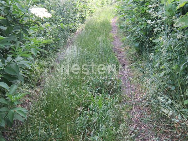 Terrain à Bâtir * 3450 M² * 19200 St Frejoux * 39 600  €