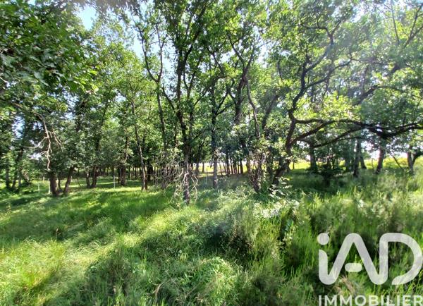 Maison à vendre 4 pièces 132 m² Auvillar