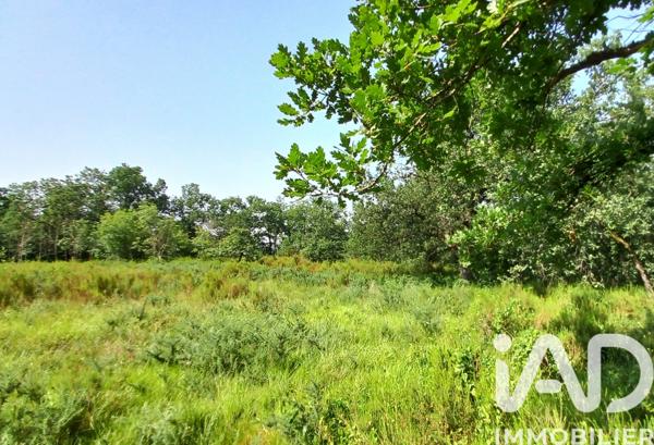 Maison à vendre 4 pièces 132 m² Auvillar