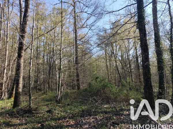 Terrain à vendre 48 910 m² Sury-près-Léré