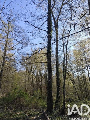 Terrain à vendre 48 910 m² Sury-près-Léré