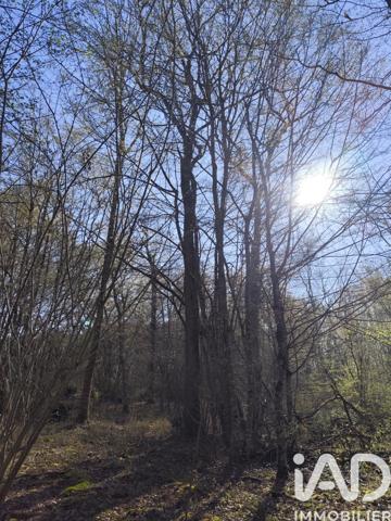 Terrain à vendre 48 910 m² Sury-près-Léré