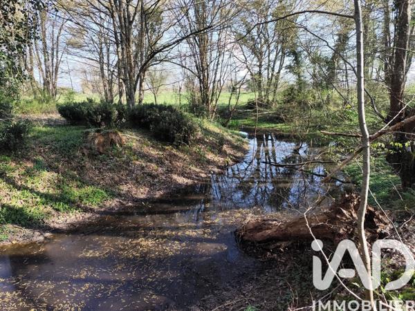 Terrain à vendre 48 910 m² Sury-près-Léré