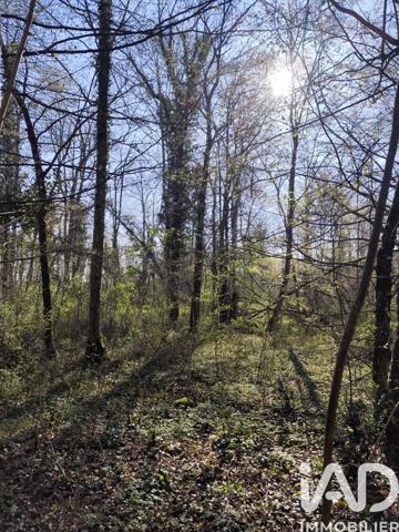 Terrain à vendre 48 910 m² Sury-près-Léré