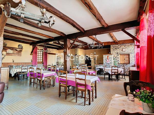 Achat immeuble Foulain - 17 pièce(s) - 569 m² - 128 000 €