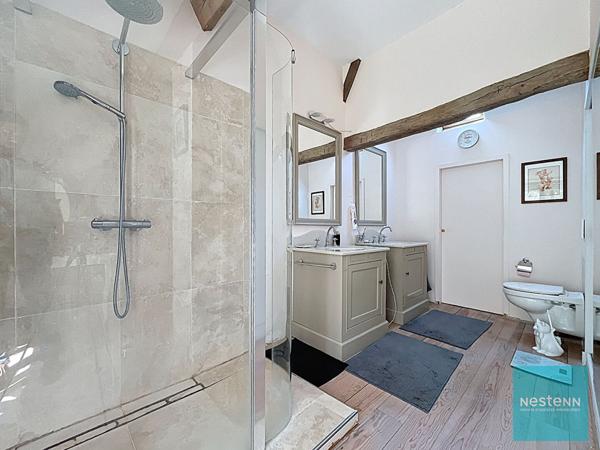 Proche Amboise, achat propriété maison + gîte de 396 m² sur 13hec.