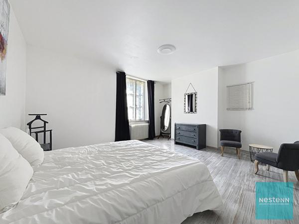 Proche Amboise, achat propriété maison + gîte de 396 m² sur 13hec.