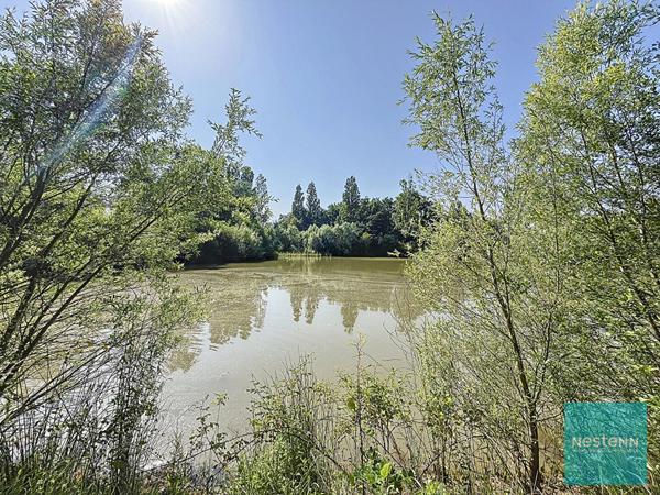 Proche Amboise, achat propriété maison + gîte de 396 m² sur 13hec.