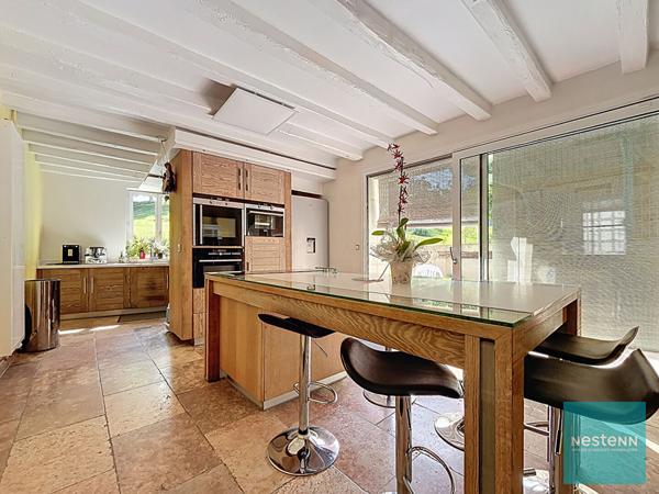 Proche Amboise, achat propriété maison + gîte de 396 m² sur 13hec.