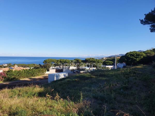 À vendre : Terrain avec vue mer exceptionnelle à Calvi, Haute-Corse